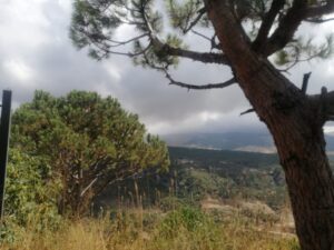 سحاب الخير بدأ يظلل جبالنا