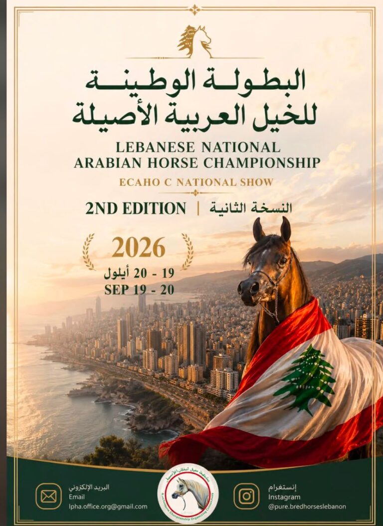 جمعية خيل لبنان الأصيل تنظّم النسخة الثانية من البطولة الوطنية للخيل العربية الأصيلة