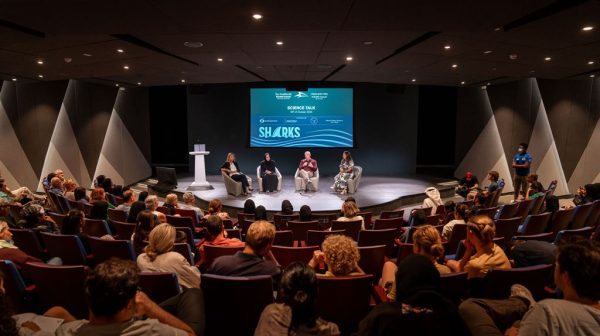 “مركز ياس سي وورلد للبحوث والإنقاذ” يواصل جهوده التعليمية من خلال أول جلسة لسلسلة حديث العلوم في عام 2026